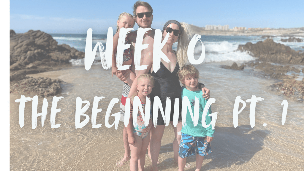 Documentary | Episode&nbsp;0